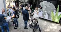 V ljubljanskem živalskem vrtu otroci prometno varnost spoznavali skozi igro