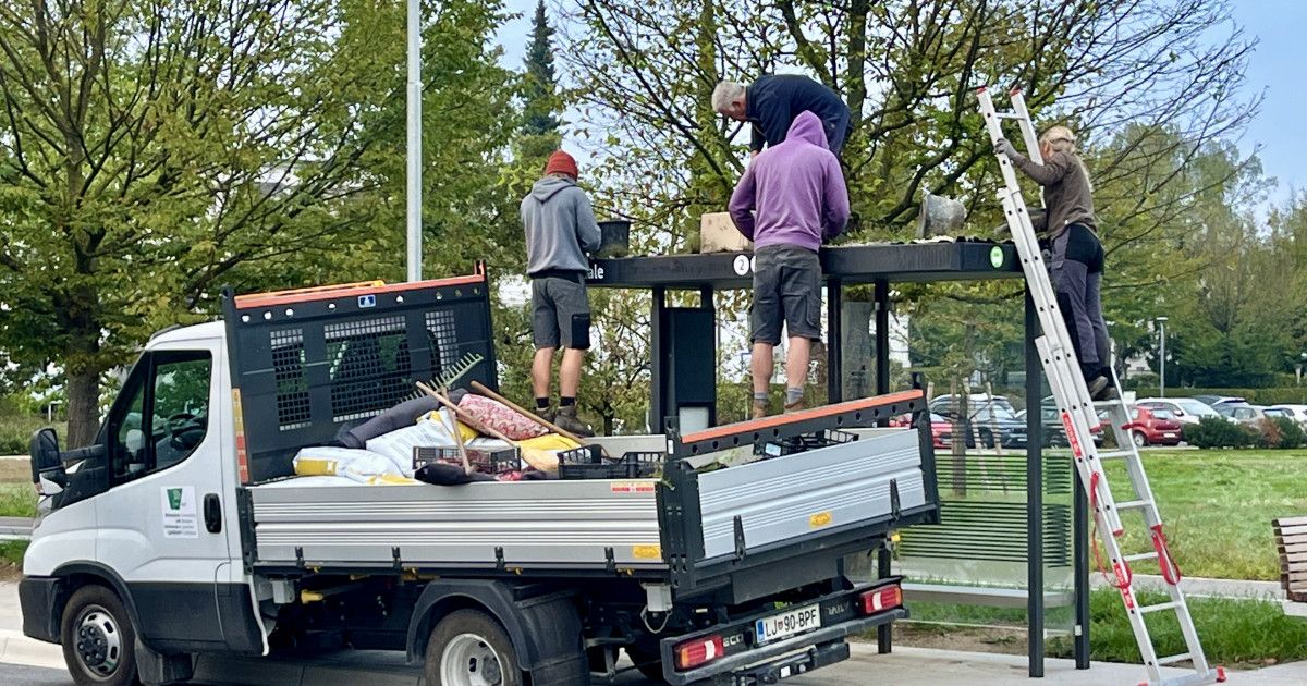 Ljubljana ozeleni nadstrešnice avtobusnih postajališč, letos jih bo še 19