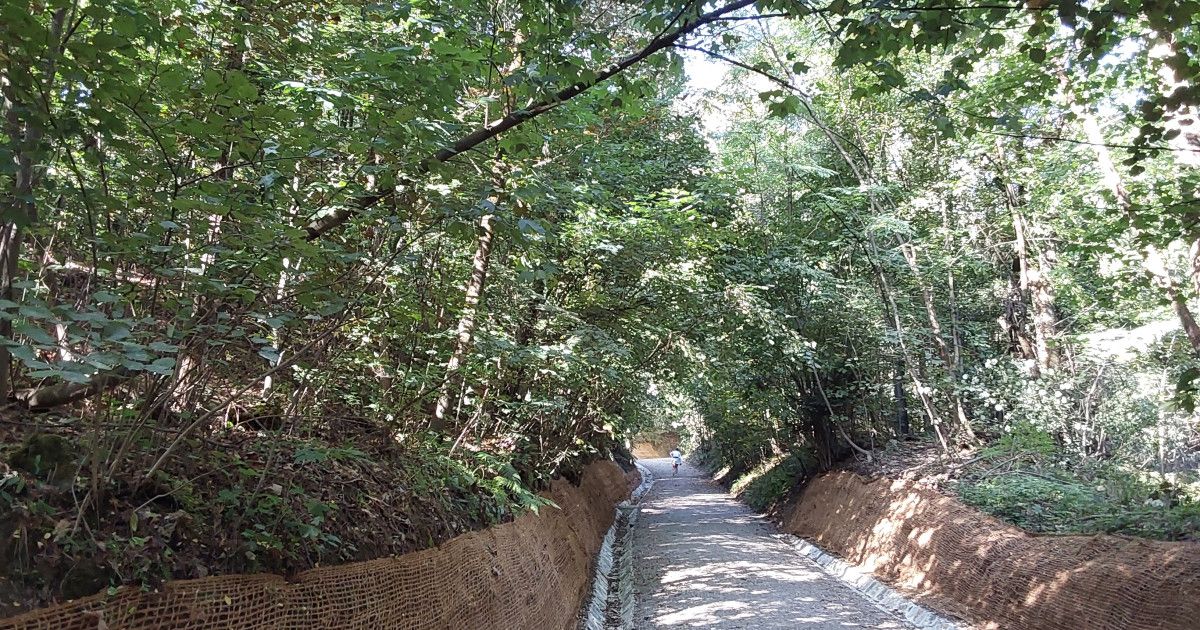 Ljubljana: urejanje gozdne poti na Šišenskem hribu je končano