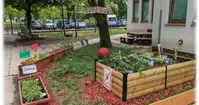 Vrtec Andersen prejel evropsko nagrado za inovativno poučevanje
